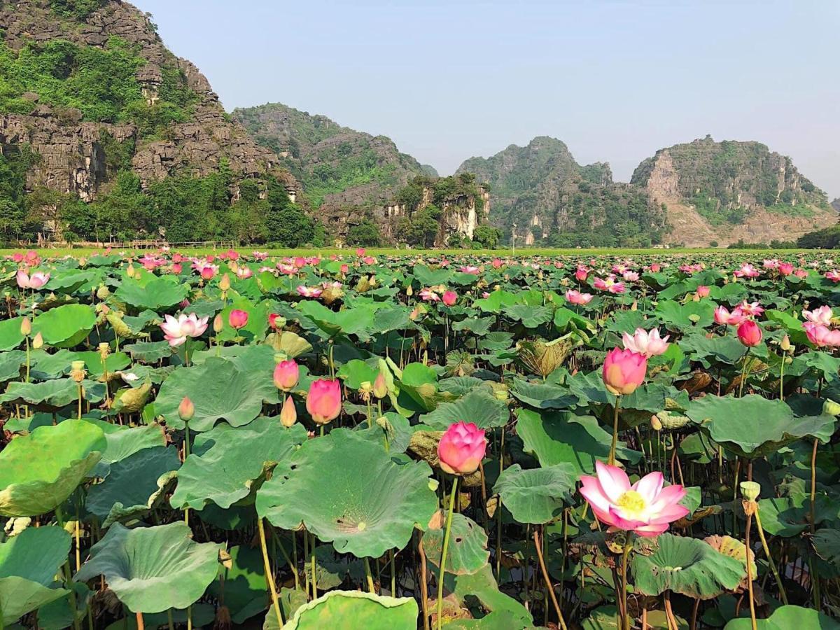 Tam Coc Heart Homestay Ninh Binh Eksteriør billede